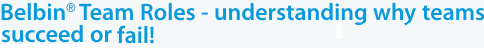 Belbin team Roles&reg;